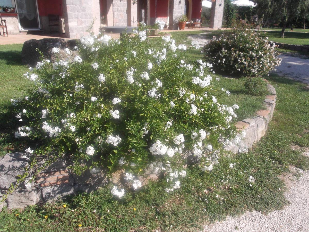 Agriturismo Casal Grande Canepina Luaran gambar